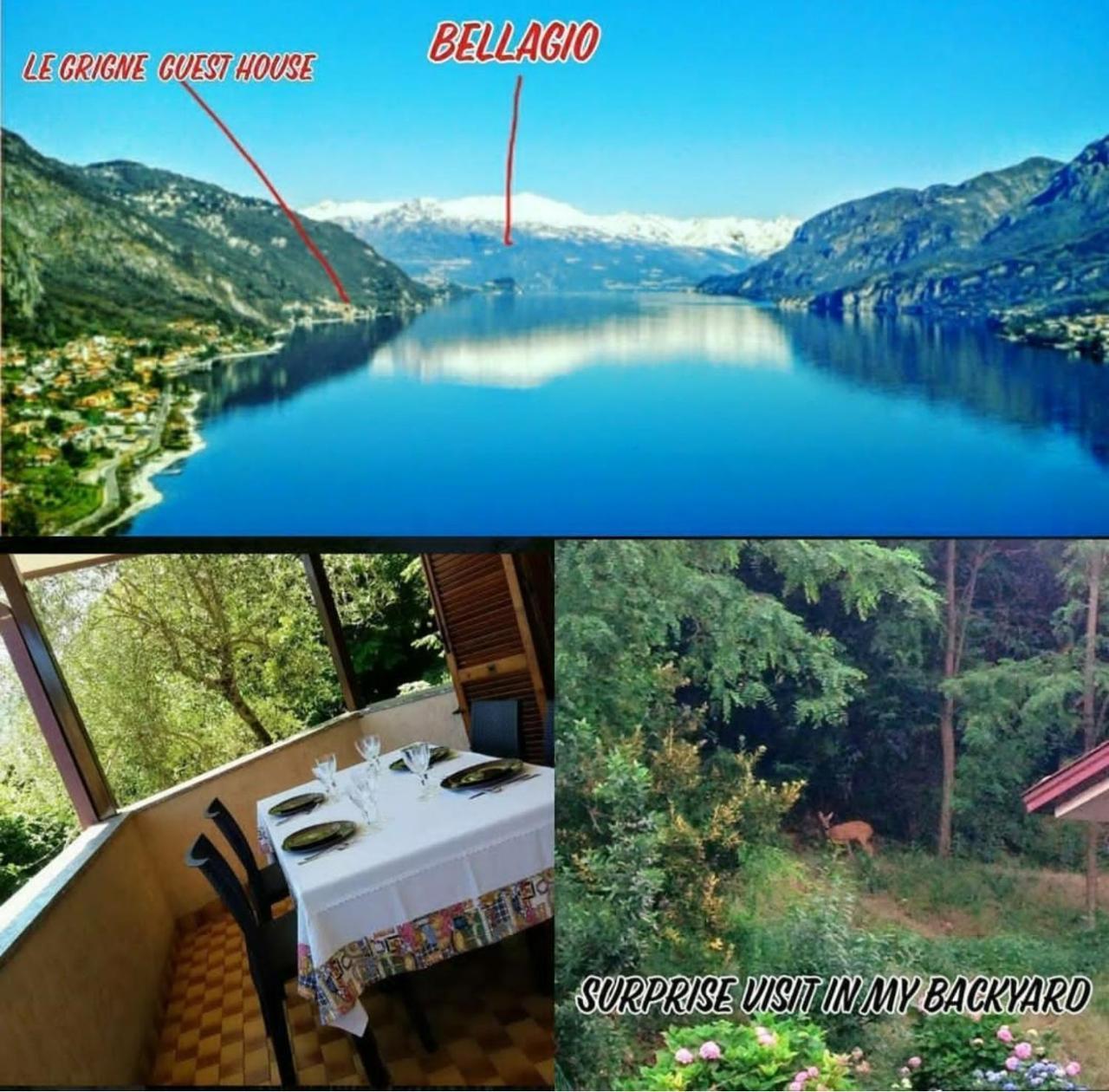 Le Grigne Guest House Oliveto Lario المظهر الخارجي الصورة
